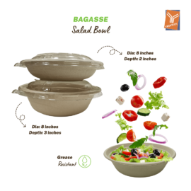 Bagasse Salad Bowl