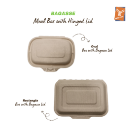 Bagasse Meal Box with Hinged Lid
